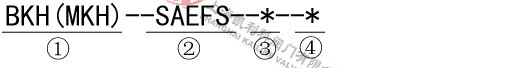 BKH、MKH高壓球閥型號(hào)說明